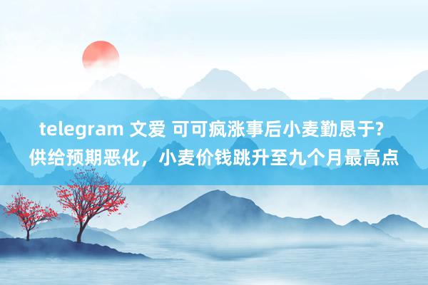telegram 文爱 可可疯涨事后小麦勤恳于? 供给预期恶化，小麦价钱跳升至九个月最高点