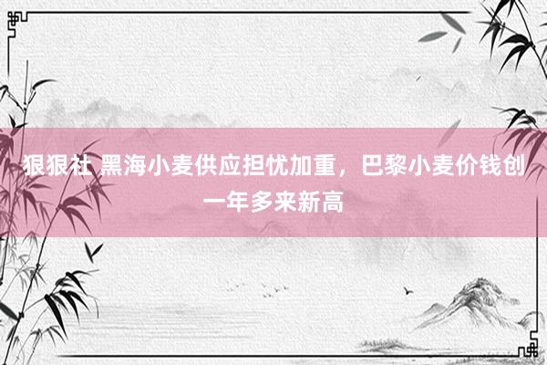 狠狠社 黑海小麦供应担忧加重，巴黎小麦价钱创一年多来新高