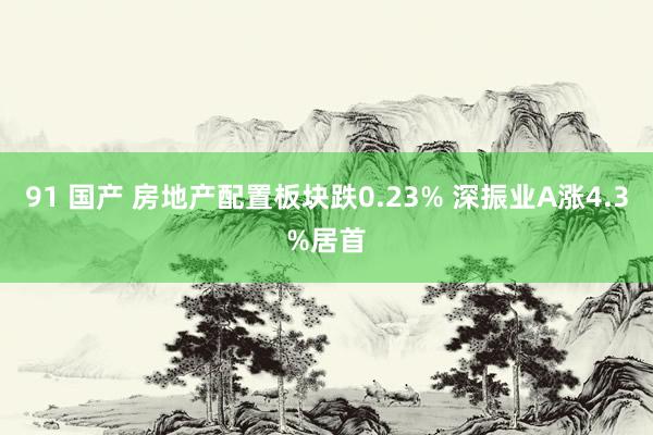 91 国产 房地产配置板块跌0.23% 深振业A涨4.3%居首