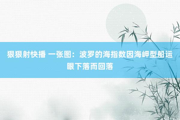 狠狠射快播 一张图：波罗的海指数因海岬型船运眼下落而回落