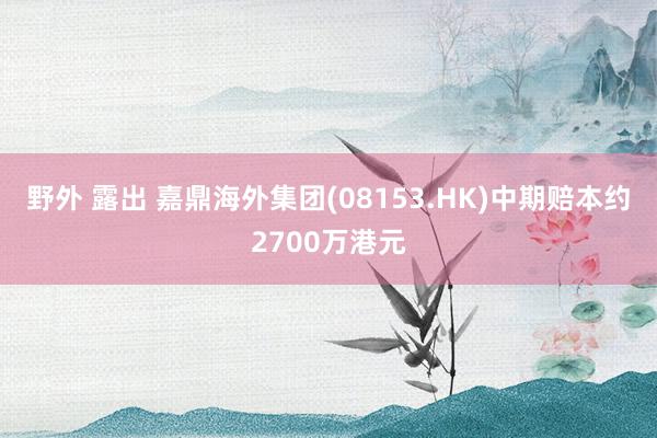 野外 露出 嘉鼎海外集团(08153.HK)中期赔本约2700万港元