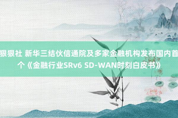 狠狠社 新华三结伙信通院及多家金融机构发布国内首个《金融行业SRv6 SD-WAN时刻白皮书》