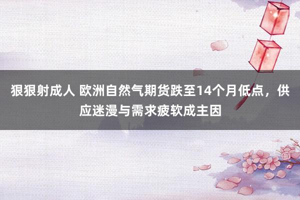 狠狠射成人 欧洲自然气期货跌至14个月低点，供应迷漫与需求疲软成主因
