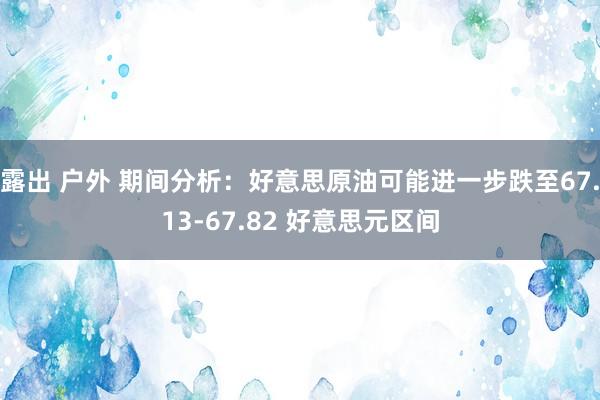 露出 户外 期间分析:好意思原油可能进一步跌至67.13-67.82 好意思元区间